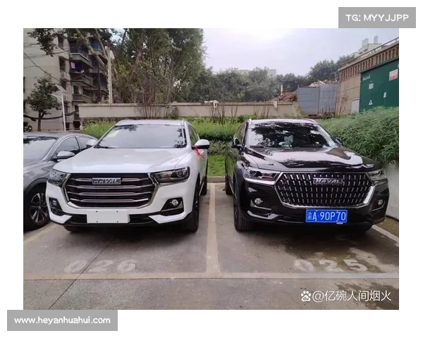 与哈弗H6国潮版一起 感受人间烟火气 与哈弗H6国潮版一起 感受人间烟火气
